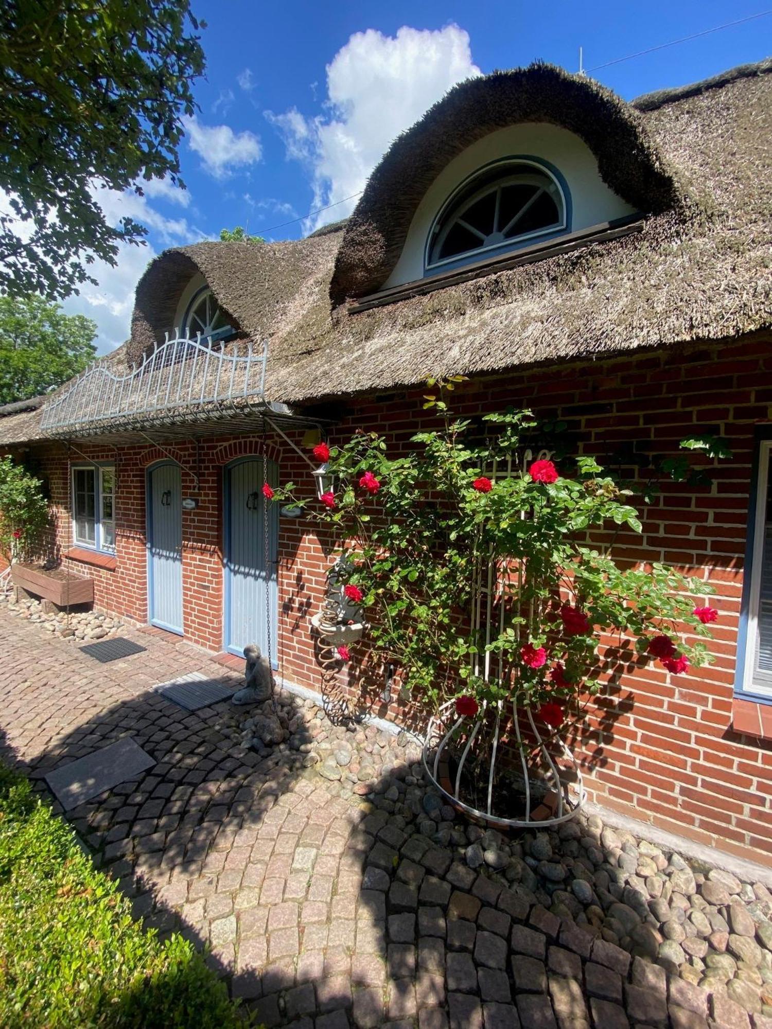 Hus Op De Duen Austernfischer Sankt Peter-Ording Exteriör bild